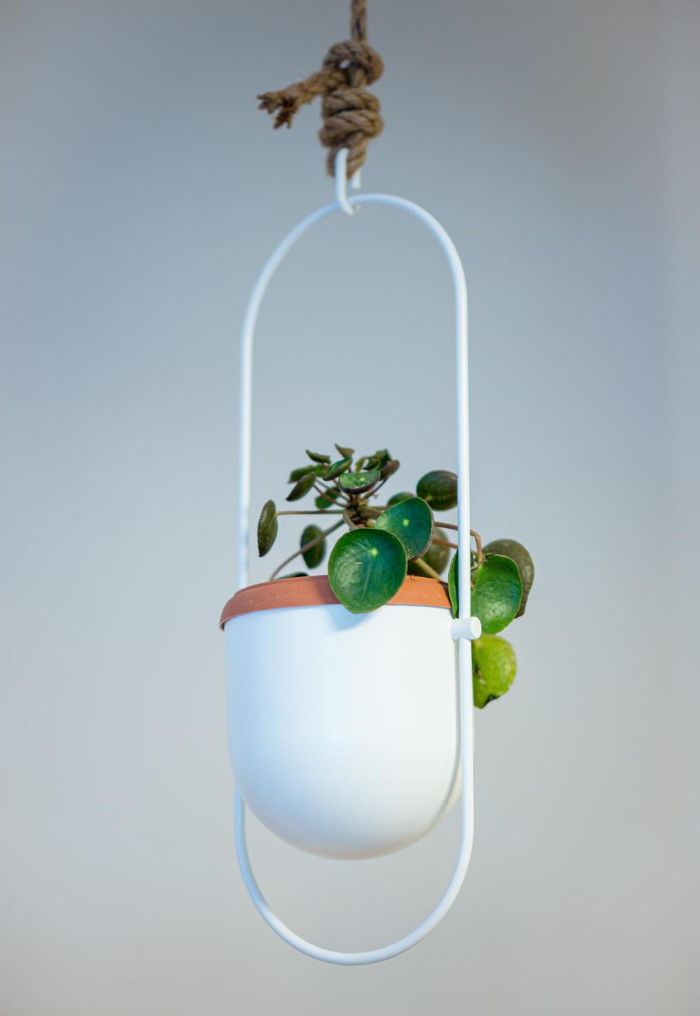 이타 Coconut Blue 아파트 외부 사진